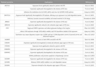 Potential role of N6-methyladenosine modification in the development of Parkinson’s disease
